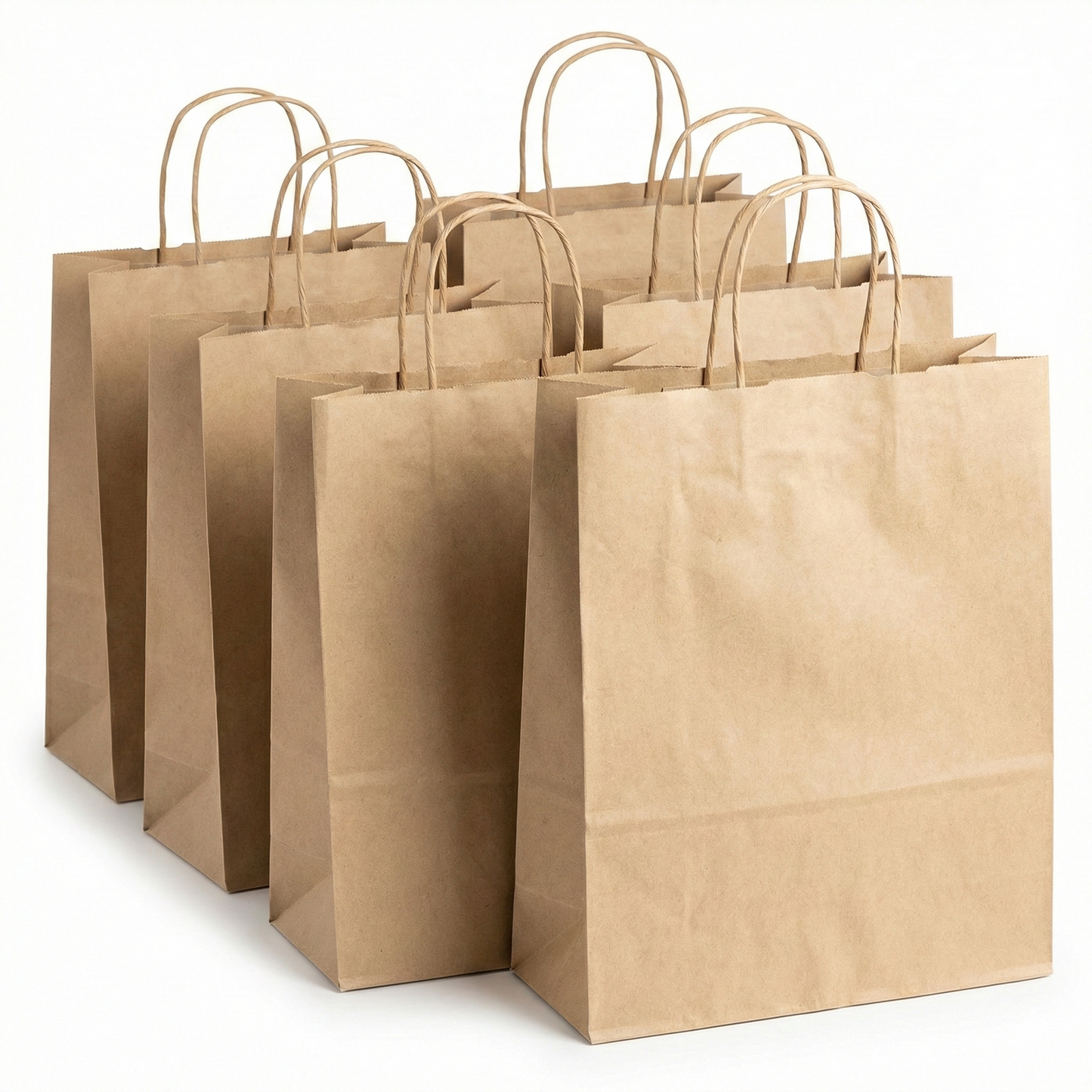 100 Sacs kraft pour l'emporter